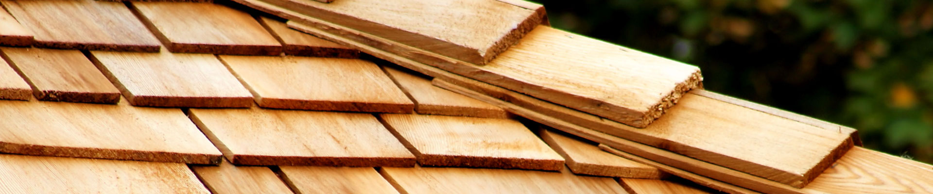 Wolfys Sunrise Roofing Images