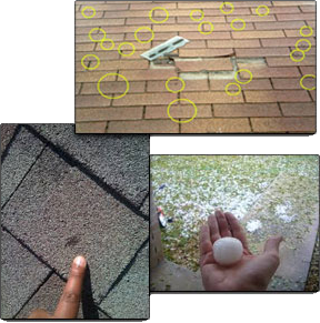Wolfys Sunrise Roofing Images