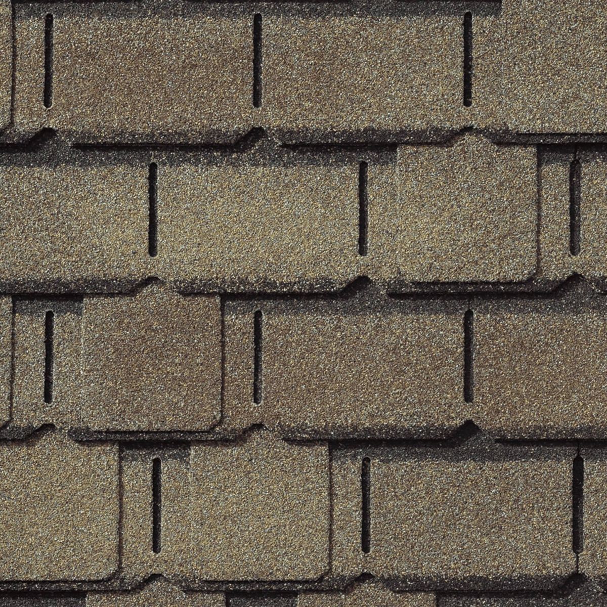 Wolfy's Sunrise Roofing Images