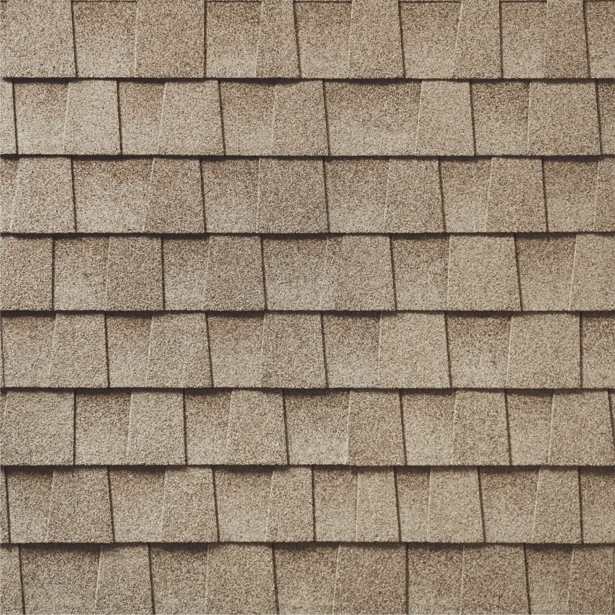 Wolfy's Sunrise Roofing Images
