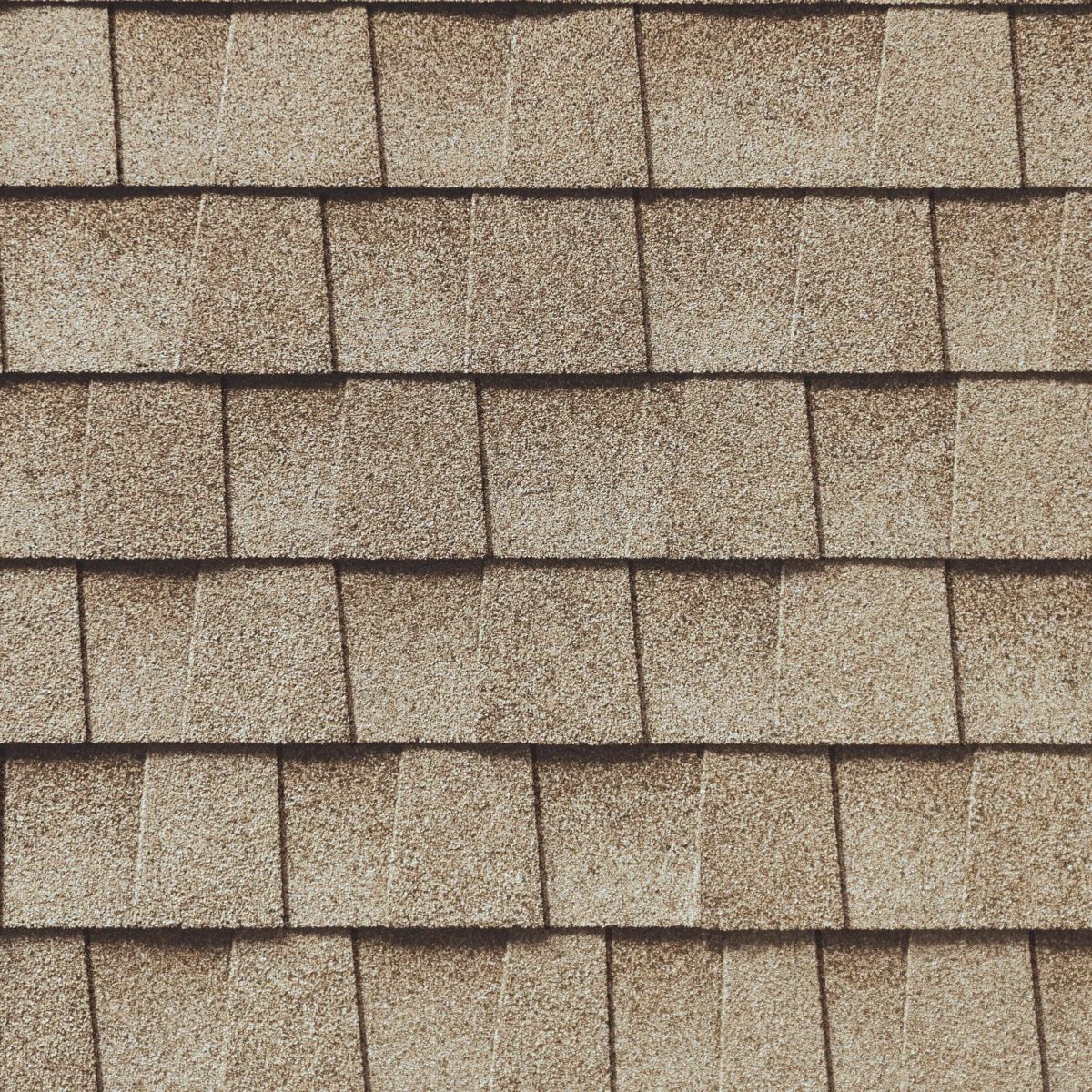 Wolfy's Sunrise Roofing Images