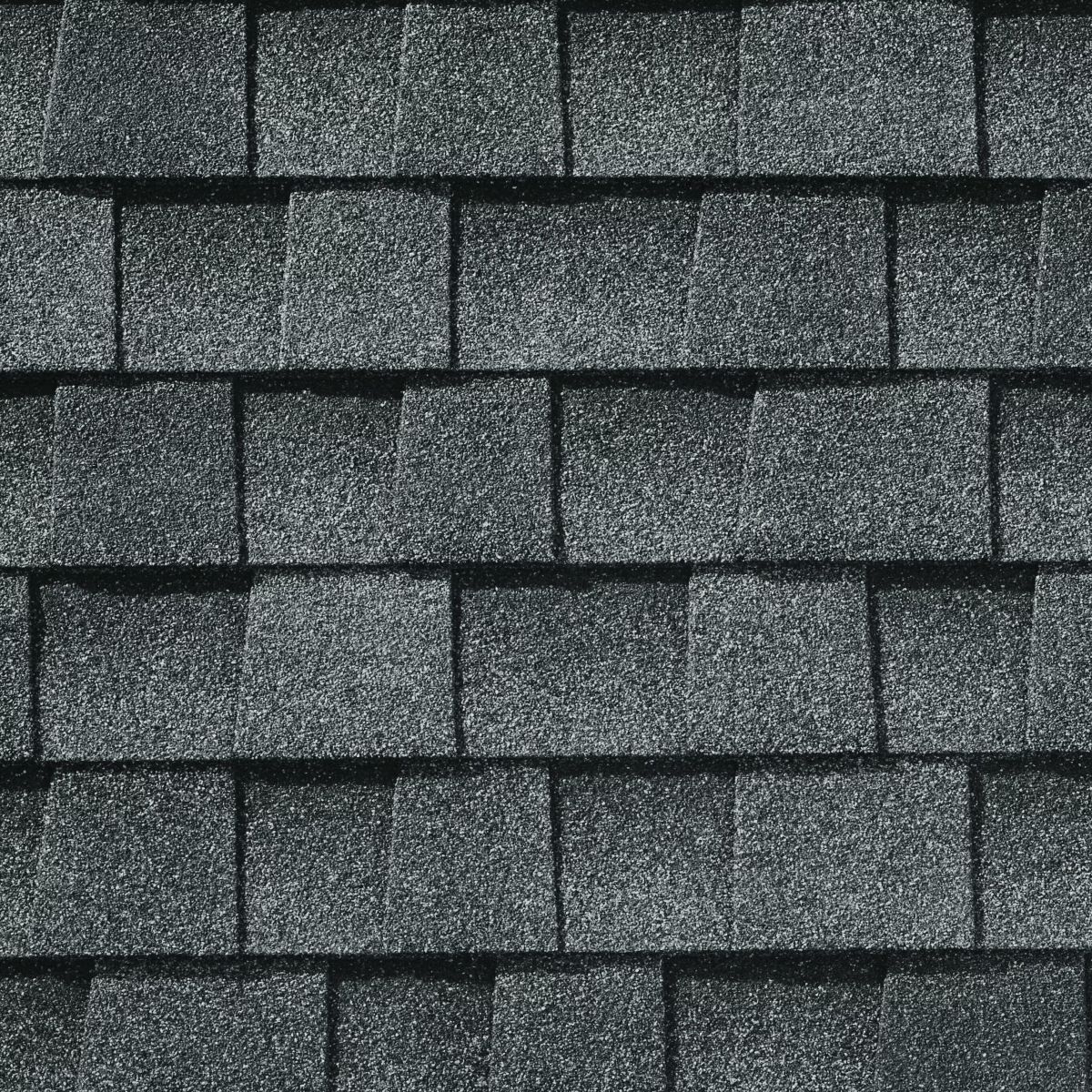 Wolfy's Sunrise Roofing Images