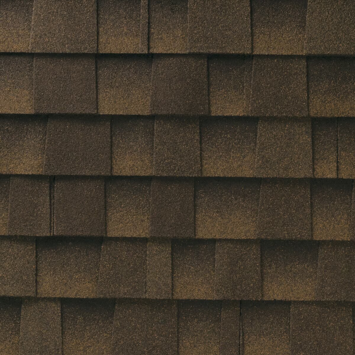 Wolfy's Sunrise Roofing Images
