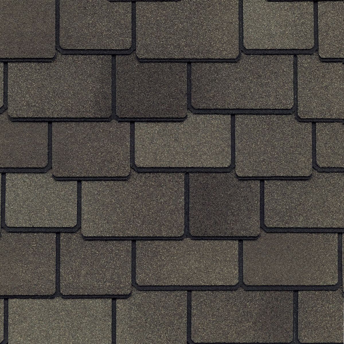 Wolfy's Sunrise Roofing Images