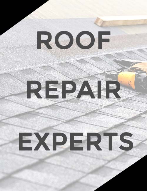 Wolfy's Sunrise Roofing Images