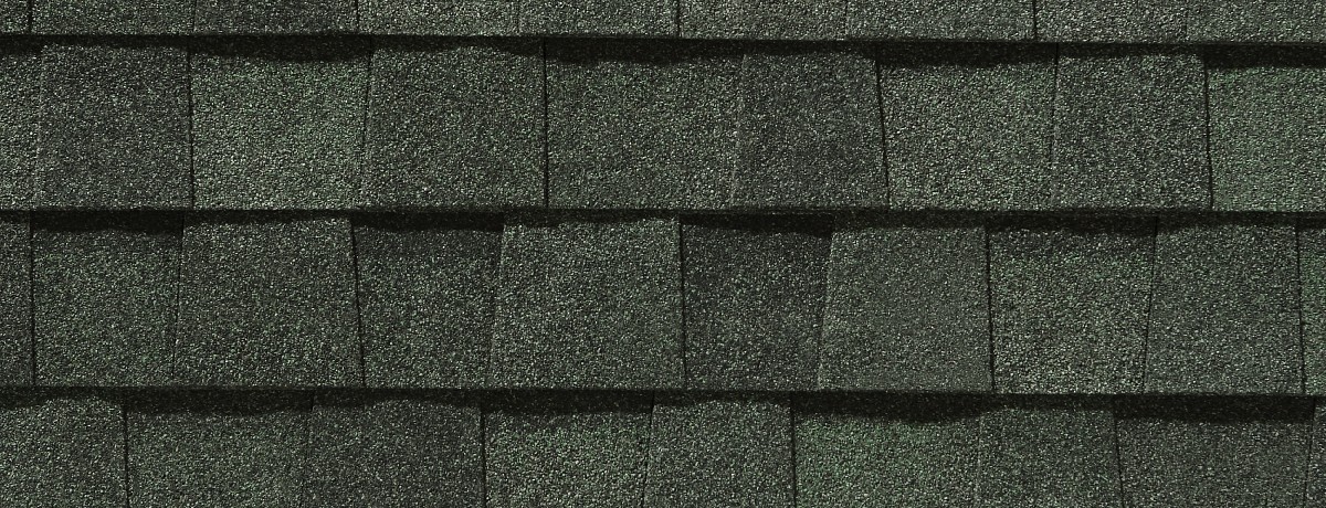 Wolfy's Sunrise Roofing Images