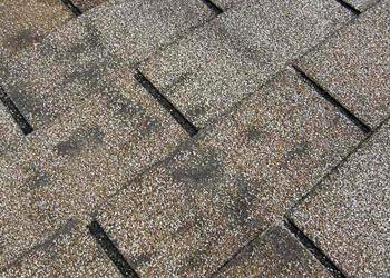 Wolfys Sunrise Roofing Images